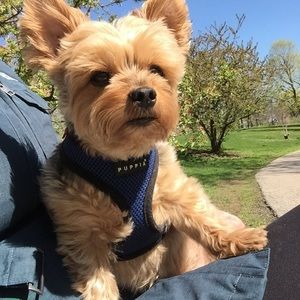 Meet your Posher, Heather